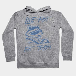 Funny Raccoon Live Fast Eat Trash Street Cats Squad Hoodie